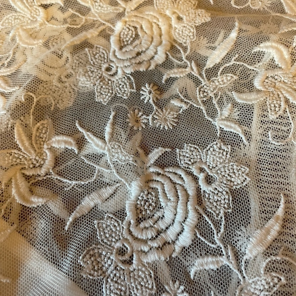 Joie Jaelin lace top; sheer with lace cami; long sleeve; cream - Picture 6 of 6